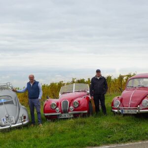 Jaguar meets Beetles
