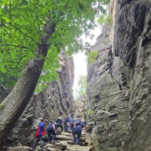 Abenteuer in luftiger Höhe